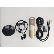 歌揚GYDZ跨境電商BM-800電容麥克風(fēng)套裝YY語(yǔ)音網(wǎng)絡(luò )K歌直播話(huà)筒配USB聲卡 香檳色 大彩