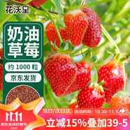 花沃里奶油草莓種子1000粒 紅草莓蔬菜種子四季種草莓苗室內外陽臺盆栽
