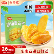 含羞草青芒干500g/袋 芒果干蜜餞果干休閑小零食辦公室果脯水果干量販裝