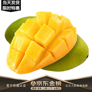 玖原農(nóng)珍 源頭直采芒果當(dāng)季現(xiàn)摘優(yōu)選芒果 新鮮水果 含箱5斤凈果4.5斤臻選果