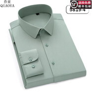 喬亞意大利輕奢品牌男裝白色襯衫抗皺免燙職業(yè)正裝長(cháng)袖男士襯衣工作服 AJ5819-4（清新綠）【親膚抗皺免燙】 40 碼 【建議135-145斤】