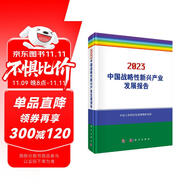 2023中國(guó)戰(zhàn)略性新興產(chǎn)業(yè)發(fā)展報(bào)告
