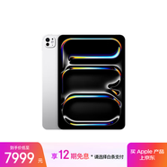 Apple/蘋果 iPad Pro 11英寸 M4芯片 2024年新款平板電腦(256G WLAN版/MVV93CH/A)銀色