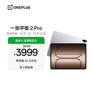 一加平板 2 Pro 13.2英寸平板電腦驍龍8至尊版芯片16GB+512GB 冰川銀 游戲辦公學(xué)生