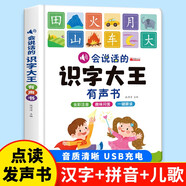 会说话的识字大王有声书 有声书幼儿学汉字趣味认字3-6岁学前儿童绘本宝宝看图拼音教材手指点读认知发声