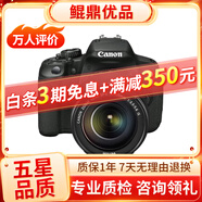 佳能/Canon 500D 600D 700D 800D 850D學(xué)生入門(mén)拍照攝像高清旅游 二手單反相機(jī) 95新 佳能650D/18-135  套機(jī) 標(biāo)配