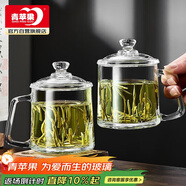 青蘋(píng)果泡茶杯帶蓋 無(wú)鉛玻璃把手水杯玻璃杯商務(wù)會(huì )議家用350ML兩只裝