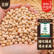 北蔬 水培芽苗菜蔬菜種子豆芽菜豆苗四季栽培 白豌豆芽苗菜種子500g