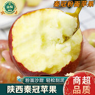 南步陜西粉紅秦冠蘋(píng)果 老品種粉面刮泥寶寶輔食紅香蕉平果老樹(shù)水果 2斤 試吃裝【約4枚】
