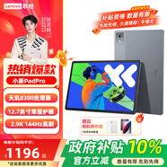 聯(lián)想（Lenovo）小新pad11英寸平板電腦學(xué)生網(wǎng)課學(xué)習辦公萊茵低藍光高清護眼全面屏12.1英寸可選全網(wǎng)通插卡平板 PadPro2025丨8+128丨12.7 灰