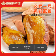 遼西文君【遼寧特產(chǎn)】葫蘆島市甘薯紅薯蜜薯烤地瓜糖心綠色食品廠(chǎng)家直郵 遼西文君1號4.5斤適合烤制，黃瓤