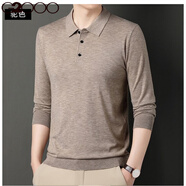 G2000中年羊毛衫男士翻領(lǐng)純色長(cháng)袖針織衫休閑寬松打底薄款毛衣 駝色 M (建議體重95-115斤)
