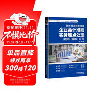 財(cái)務(wù)精英進(jìn)階指南：企業(yè)會(huì)計(jì)準(zhǔn)則實(shí)務(wù)難點(diǎn)處理（案例+講解+應(yīng)用）