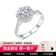 鉆之嘉河南1克拉鉆戒人工培育鉆石閃耀艾亞圍鑲結婚戒指女送情人節禮物 18k金1克拉【D/VS1/3EX/上海IGI證書(shū)】 14圈號