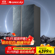 晶弘（KINGHOME）格力 雙開門家用冰箱大容量風(fēng)冷無霜541升一級(jí)能效變頻冰凍離子長效凈味BCD-541WPDGA/云岫巖