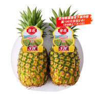 佳農(nóng) 菲律賓進(jìn)口菠蘿 2個裝 鳳梨 單果凈重2斤 生鮮水果源頭直發(fā) 包郵