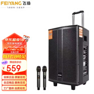 飛揚音箱 0838/1238戶(hù)外便攜藍牙移動(dòng)拉桿音響 廣場(chǎng)舞無(wú)線(xiàn)話(huà)筒K歌 QX-0838（8寸音響+雙話(huà)筒）