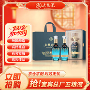 五糧液股份 年貨送禮 五糧佳釀 濃香型純糧白酒禮盒52度500ml*2瓶禮袋裝
