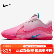 耐克NIKE男子籃球鞋LEBRON XXII SN EP運動(dòng)鞋HV8456-600粉藍40