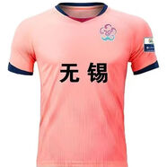無(wú)疆妙品2025蘇超聯(lián)賽城市足球衣定制男女短袖球服足球迷無(wú)錫隊服印字 無(wú)錫 4XL 4XL建議155-170斤