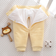 小三月嬰兒棉褲冬初生寶寶夾棉厚褲子冬季0-6月新生兒加厚加絨高腰護肚 A117-K黃條絨 平腰開(kāi)襠 73 cm 建議13-17斤