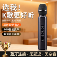 聽(tīng)聲者手機直播錄歌手持麥克風(fēng)無(wú)線(xiàn)藍牙自帶聲卡話(huà)筒音響一體機便攜式戶(hù)外設備唱歌音箱電視KTV 黑色【專(zhuān)業(yè)歌手級音質(zhì)-DSP聲卡美聲】 官方標配