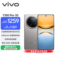 vivo Y300 Pro 8GB+256GB 鈦色 國家補貼 6500mAh超薄藍海電池 全等深微四曲屏 AI 拍照 手機