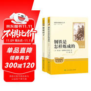 駱駝祥子+鋼鐵是怎樣煉成的（升級(jí)版） 人教版名著閱讀課程化叢書 七年級(jí)下套裝（共2冊(cè)）與25春新版初中語(yǔ)文教材配套使用（含微課，從教學(xué)角度講解名著；含閱讀筆記本，提供測(cè)評(píng)指導(dǎo)幫助提升整本書閱讀能力）