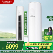 格力（GREE）空調天儀2匹/3匹圓柱式客廳柜機新一級能效【家電消費國補8折】節能省電變頻制冷暖兩用立式 3匹 一級能效 國補減20%指定產(chǎn)品