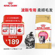 皇家貓糧 波斯幼貓糧 KP32 通用糧 4-12月 2KG