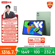 聯(lián)想小新PadPro12.7 2025款平板電腦 2.9K高刷全面屏 娛樂(lè )學(xué)習 10200mAh 8+256G小青新