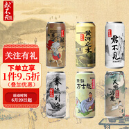 或不凡 國產(chǎn)精釀啤酒 渾濁雙倍IPA啤酒 6口味 500mL 6罐 組合裝