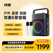 純麥Vifa便攜戶(hù)外K歌音箱音浪串聯(lián)廣場(chǎng)舞音響藍牙多功能高音質(zhì) 旗艦款曜石黑（雙麥）