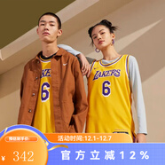 耐克NBA官方-湖人詹姆斯夏季速干無(wú)袖運動(dòng)背心籃球服DN2009-728 湖人隊/詹姆斯 3XL