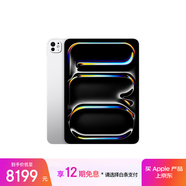 Apple/蘋(píng)果 iPad Pro 11英寸 M4芯片 2024年新款平板電腦(256G WLAN版/MVV93CH/A)銀色