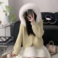 微愛(ài)的小松鼠（weiaidexiaosongshu）韓國新款狐貍毛連帽拉鏈毛衣女外套秋冬短款慵懶風(fēng)針織衫 6664 黃色 均碼