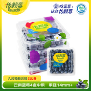 怡顆莓Driscoll's當季新鮮云南藍莓14mm+ 4盒裝 約125g/盒 京東超市水果