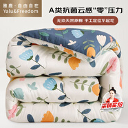 雅鹿·自由自在A(yíng)類(lèi)抗菌纖維被子被芯單人秋冬天季被褥棉被冬天180x220cm7斤繁花