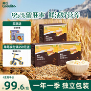 英氏有機胚芽米245g*3盒 兒童輔食粥大米小米粒早餐自制輔食獨立包裝