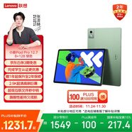 聯(lián)想小新PadPro12.7 2025款平板電腦  2.9K高刷全面屏 娛樂(lè )學(xué)習 10200mAh 8+128G小青新