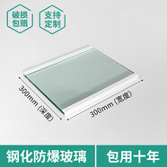 適用三星RS62K6000SK/SC RS21NCSW RS19BRPW 冰箱玻璃隔板分層板 [三星專用]300*300雙包邊(現(xiàn)貨)