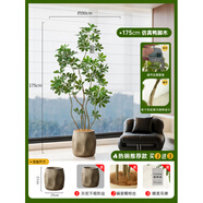 奉希鴨腳木仿真花綠植物高端輕奢室內裝飾客廳大盆栽落地擺件仿生假樹(shù) 鴨腳木+灰陀不規則盆【款】 175cm