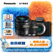 松下（Panasonic）Lumix G100D M43畫(huà)幅相機 M43卡口 微單相機 無(wú)反數碼相機 G100D+【12-60+25F1.7】雙白盒套裝