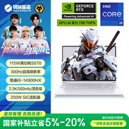 機械革命極光X 酷睿i9HX 游戲本筆記本電腦(i9-14900HX 32G 1T RTX5070 2.5K屏 300Hz 白)
