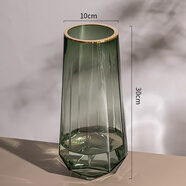 感ins風(fēng)玻璃花瓶透明水養插花瓶鮮花玫瑰百合花客廳擺件歐式 B松綠描金大號【精致款】 中等