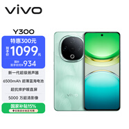 vivo Y300 8GB+256GB 青松 國家補貼 新一代超級揚聲器 6500mAh超薄藍海電池 超抗摔護眼直屏 AI手機