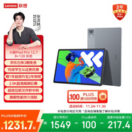 聯(lián)想小新PadPro12.7 2025款平板電腦 2.9K高刷全面屏 娛樂(lè )學(xué)習 10200mAh 8+128G大象灰