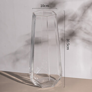 感ins風(fēng)玻璃花瓶透明水養插花瓶鮮花玫瑰百合花客廳擺件歐式 透明大號【精致款】 中等