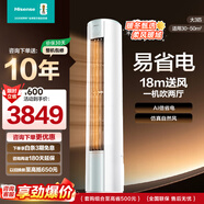 海信（Hisense）空調 2匹/大3匹 【咨詢(xún)搶大額優(yōu)惠】易省電 空調柜機 AI省電 速冷熱 新一級節能變頻客廳柜機 大3匹 新一級E290X1A 新品 大雙排