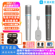 天籟K歌MM-8無(wú)線(xiàn)麥克風(fēng)家用電視k歌話(huà)筒適用海信東芝tcl東芝雷鳥(niǎo)vidda卡薩帝海爾問(wèn)界阿維塔車(chē)載麥克風(fēng) MM-12超心型咪芯【手機電視通用】太空銀灰